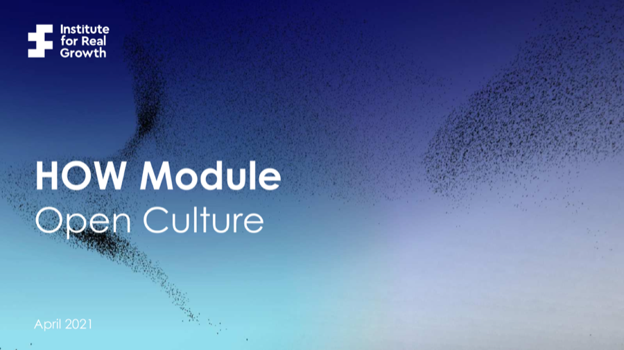 Cover of Open Culture: Growth Through Experimentation