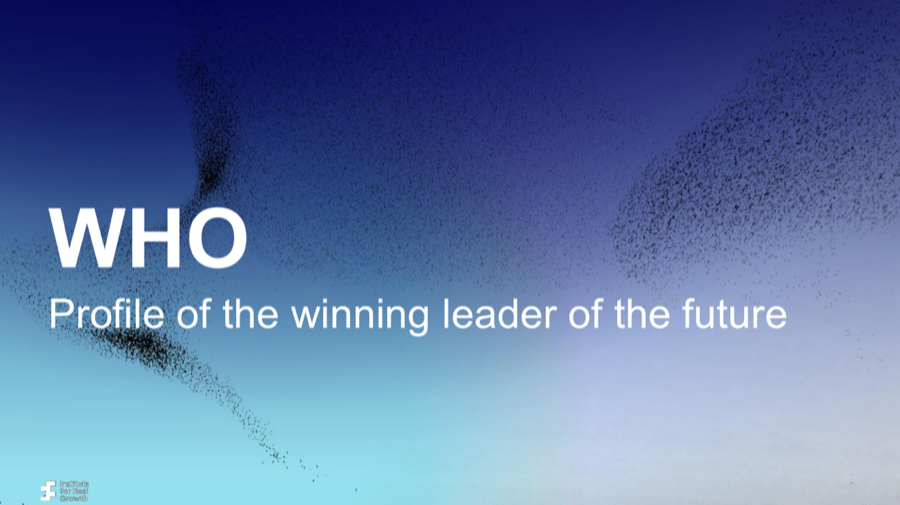 Cover of The Da Vinci Growth Leader: A Profile in Three Layers