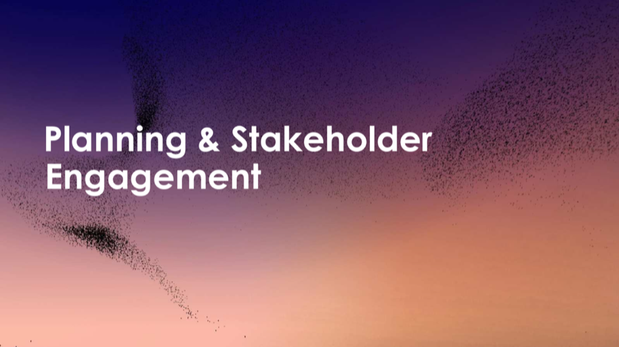 Cover of Planning and Stakeholder Engagement
