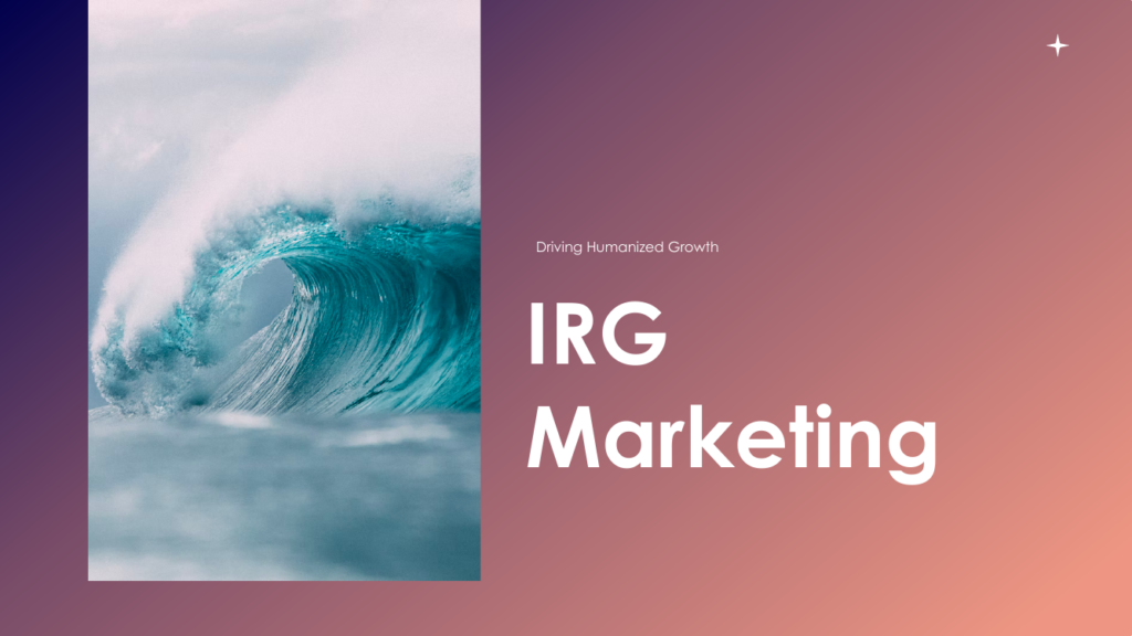 Cover of IRG Marketing, Reviewed: What Worked, What Failed, What to Keep