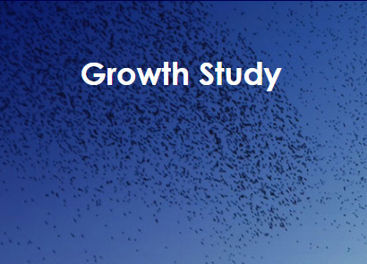 IRG Growth Study